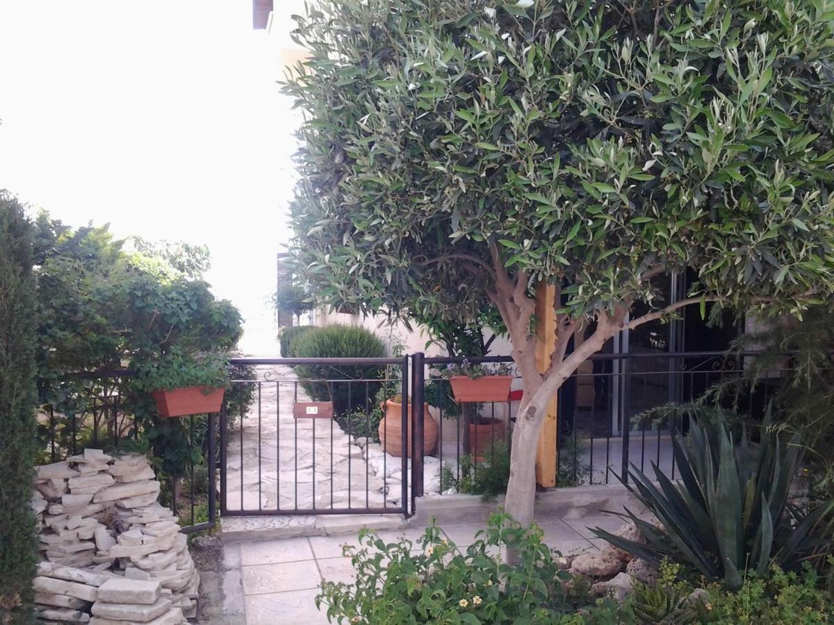 The Best Paphos Bagian luar foto
